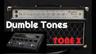 THIS TONE X DUMBLE CAPTURE IS AMAZING #guitar #tonex #dumble #bluesguitar