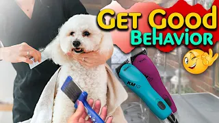 Get your Dog to Behave for Dog Grooming