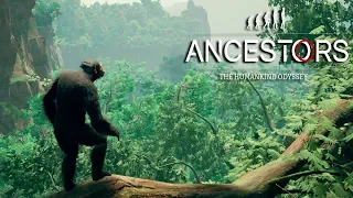 УЧИМСЯ ХОДИТЬ ПРЯМО В ANCESTORS The Humankind Odyssey #18