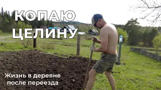 Копаю целину, сотка за мной! Жизнь в деревне после переезда.