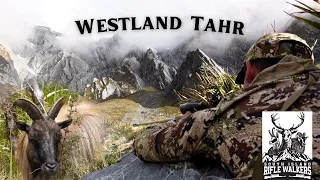 Searching for Summer Bulls - 9 Day West Coast Tahr Hunt