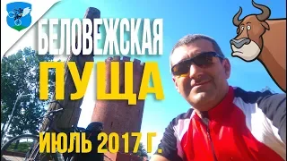 Беловежская пуща от Бреста за 2 дня. Переход границы с Польшей по погранпереходу Переров.