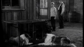 Lassie - Episode #59 - "The Marauder" - Season 2, Ep 33 -  4/22/1956