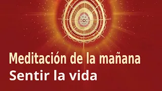 Meditación Raja Yoga de la mañana: "Sentir la vida", con Antonio Losa