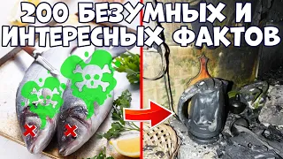 200 БЕЗУМНЫХ И ИНТЕРЕСНЫХ ФАКТОВ, КОТОРЫЕ ВАС УДИВЯТ