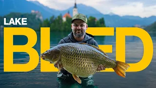 Unfinished Business - Lake Bled Carp Fishing