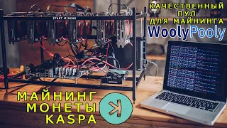 Майнинг монеты KAS (Kaspa) через проверенный пул WoolyPooly