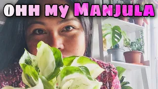 New Plantmail Unboxing 🌿📦