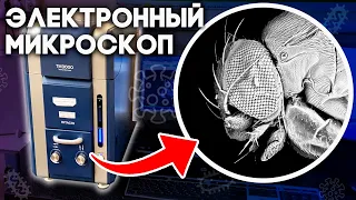 Я сделал снимок на микроскоп, способный увидеть атом, и вот, что я узнал!  Электронный микроскоп