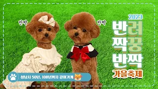 귀여운 애🐶 옆에 귀여운 애😸 2023 반려동물 페스티벌🐕🐩