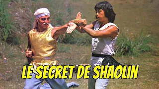 Wu Tang Collection - Le secret de shaolin -Secret Shaolin Kung Fu