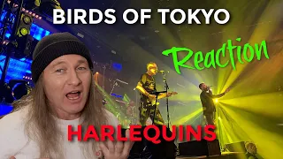 First Time Hearing Birds of Tokyo Harlequins