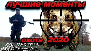 Лучшие моменты на охоте 2020