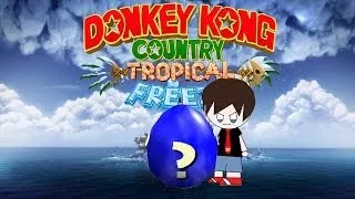 Donkey Kong Country Tropical Freeze - EASTER EGG WRAP-UP - The Geek Critique