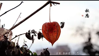 古琴《秋思》李祥霆 / Traditional Chinese Music, Guqin “Autumn Nostalgia”: LI Xiang Ting