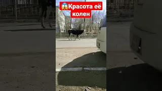 🤣Мухосранск