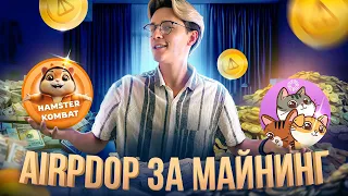 Разработчики Notcoin: "Листинг Ноткоин готов на 99%" Новые карточки Hamster Combat. Пулл Catizen