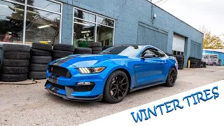 Buying Winter tires for my Mustang GT350 *STOCK WHEELS*