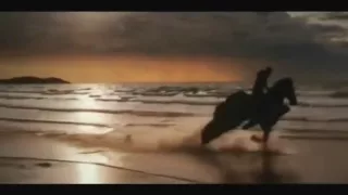 Pegasus Tribute ( Clash of the titans )