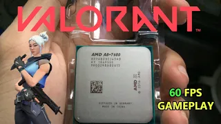 AMD A8-7680 Quad-Core 3.8 GHz (Lazada Unboxing)