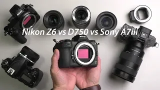 Nikon Z6 vs Sony A7iii vs D750