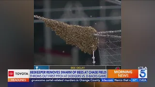 Beekeeper becomes hero after Dodgers-Diamondbacks game delayed due to massive bee colony