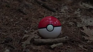 Pokemon Teaser