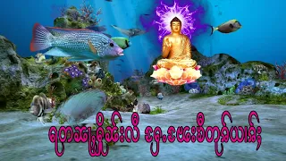 ရတၼႃႇႁိူၼ်းလီ ႁႄႉၽႄးၶီတုၷ်ႉယၢၷ်ႈ (2)