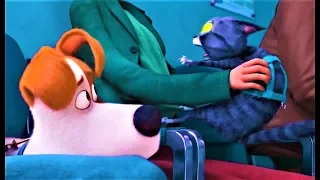 Мультфильм 2019 - ТАЙНАЯ ЖИЗНЬ ДОМАШНИХ ЖИВОТНЫХ 2 / Трейлер / The Secret Life of Pets 2