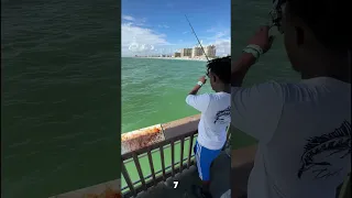 How To Catch A Pinfish In 30 Seconds