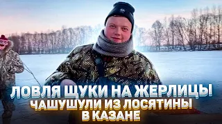 ЛОВЛЯ ЩУКИ НА ЖЕРЛИЦЫ. Чашушули из ЛОСЯТИНЫ в казане. Клёв белой рыбы на мормышку. Зимняя рыбалка