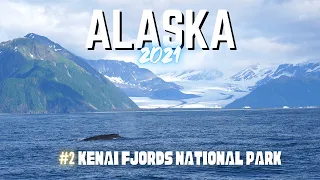 ALASKA Diaries #2 🧊 Kenai Fjords National Park Tour to Northwestern Glacier in Seward [Alaska 2021]