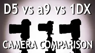 Camera Comparison: D5 vs a9 vs 1DX