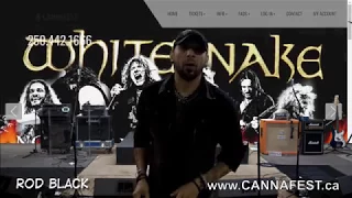 Cannafest 2018 Update from ROD BLACK