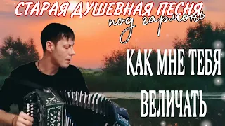 Душевная песня КАК МНЕ ТЕБЯ ВЕЛИЧАТЬ - Алексей Кракин #песниподгармонь