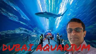 Dubai Aquarium and Underwater Zoo | SHARKS 🦈 | PART 1 #dubaiaquarium #dubaimall #travel