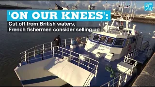 'On our knees': Cut off from British waters, French fishermen consider selling up