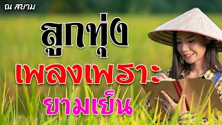 ลูกทุ่งเพลงเพราะยามเย็น ชุดที่ 2 | รวมศิลปิน