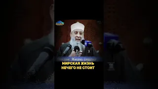 МИРСКАЯ ЖИЗНЬ НЕЧЕГО не стоит! #альхувейни