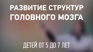 Развитие структур головного мозга у детей от 5 до 7 лет