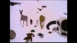 Animales Asombrosos - Opening y Fragmento de Capítulo (Discovery Kids Latinoamerica 1996-2002)