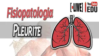Pleurite - Inflamação da Pleura │ Fisiopatologia