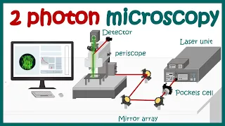 Two Photon microscope | Working principle of 2 photon microscope | Advantages of 2 Photon imaging