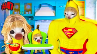 SUPER BANANA CAT COME BABY BANANA CAT HOUSE | Happy Cat Funny Cartoon 47