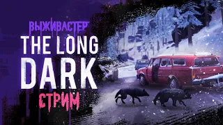 №263 The Long Dark: Выживание - Часть 20 (interloper) | 1440p.