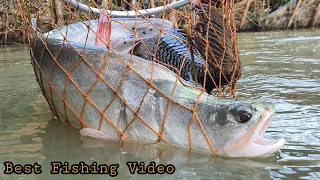 Fishing Video😱😲 || Nice to see the incredible fishing scene of the village boy || Best fishing 🤣