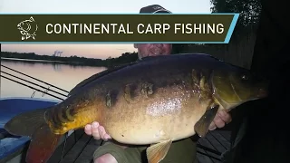 CONTINENTAL CARP FISHING - Nash 2014 Carp Fishing DVD Movie