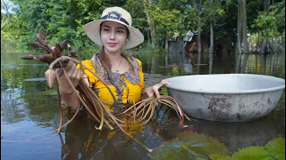 Fresh water lyly in my countryside and cook food - Polin lifestyle