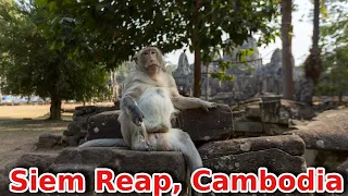 Top 11 things to do in Siem Reap, Cambodia