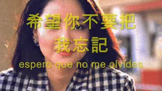 再見我的愛人 Goodbye my love 邓丽君 traducido al español   YouTube